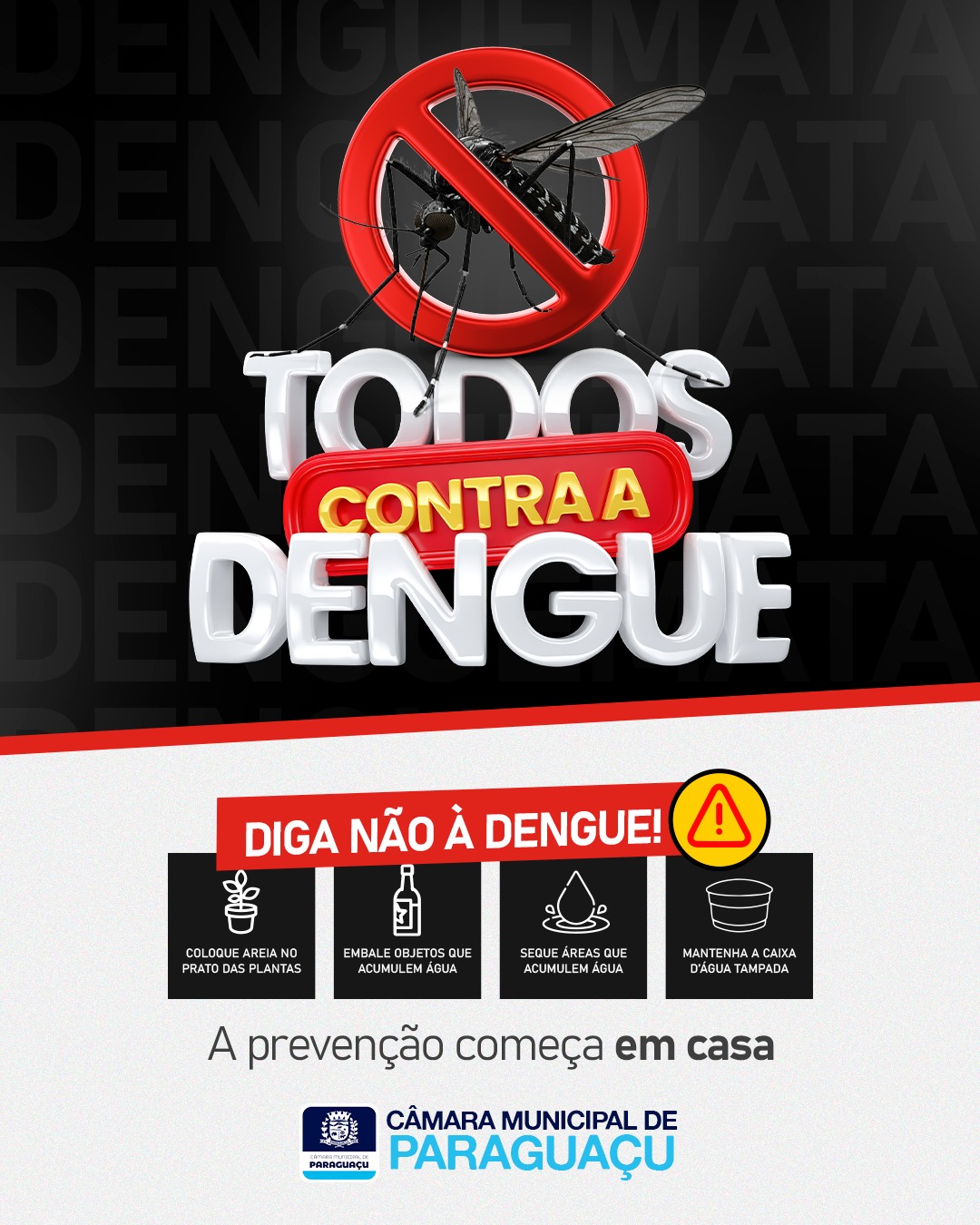 Prevenção contra a Dengue 