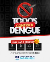 Prevenção contra a Dengue 